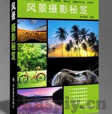 伦理短篇-伦理的微光，在平凡中的不凡抉择