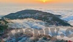 日韩在线观看av-探索日韩影视文化的多元视角，在线观看的多样性与文化交流