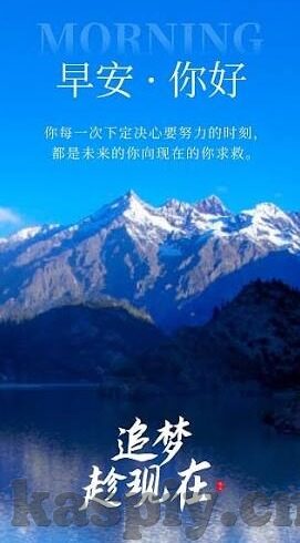 糖心官网地址-揭开糖心官网的神秘面纱，深入网络空间的甜蜜探索