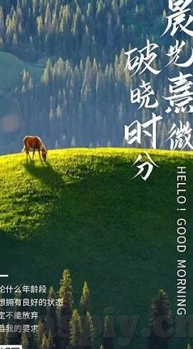 糖心原创官网-糖心原创官网，创意的源泉与艺术的殿堂