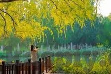 最好看最新中文字幕-探索最新中文字幕的魅力，一场视觉与文化的盛宴